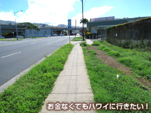 バス停からカフェカイラへ1