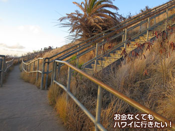 早朝のダイヤモンドヘッド登山の山頂へ向かう階段(右)と真っ直ぐ進む道