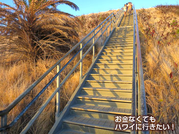 早朝のダイヤモンドヘッド登山で再び山頂へ向かう階段へ