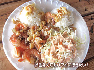 ハレイワ シュリンプ