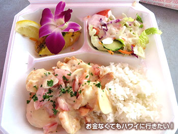 カマロン ハレイワ
