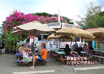 haleiwa-garlicshrimp-camaron.jpg