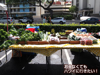 アラモアナセンターファーマーズマーケットの新鮮野菜が買えるHO FARMS