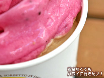 2種類目のコナコーヒージェラートは下に(アロハジェラート)