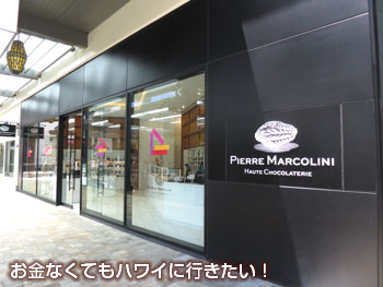 ピエール マルコリーニの外観