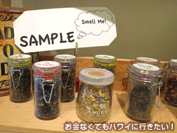 アヌエヌエ ティーの紅茶(販売用)サンプル