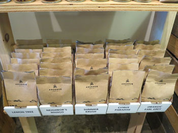 アヌエヌエ ティーの紅茶(販売用)