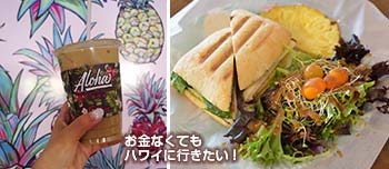 ハワイアンアロマカフェ