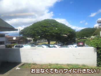 降りる一つ前のバス停(進行方向左側)