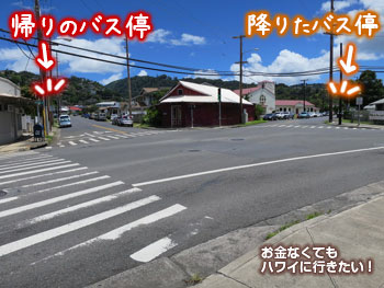 降りたバス停と帰りのバス停