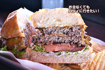 ブッチャー&バード プライム ドライエイジ チーズバーガー