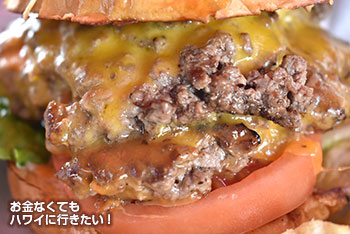 ブッチャー&バード プライム ドライエイジ チーズバーガー