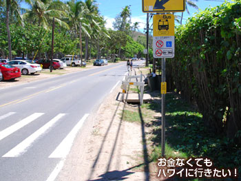 カイルアビーチパーク前バス停(バズズ)