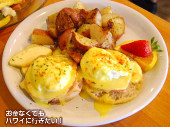 カフェカイラ ハワイ のおすすめメニューは 待ち時間 営業時間も カフェカイラ ハワイ のおすすめメニューは 待ち時間 営業時間も