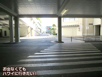 アラモアナセンター駐車場の先に横断歩道