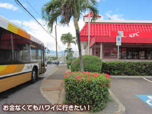 フォーティナイナー近くのバス停