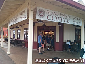 アイランドヴィンテージコーヒー ハレイワストアロッツ店