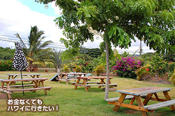 Farm to Barn cafe & juicery ハレイワタウン