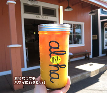 Wow Wowレモネード ハレイワタウン