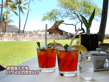 オーキッズ・サンデーブランチの飲み物