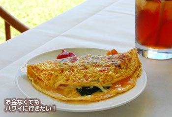 サンデーブランチ オーキッズ