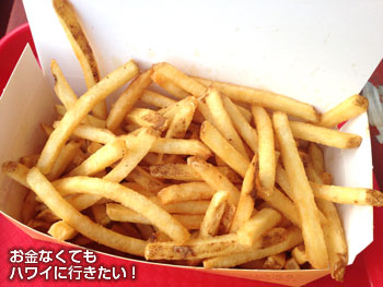 ハンクス オートドッグのフライドポテト(単品)