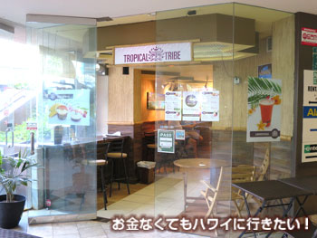 トロピカルトライブの外観と店内
