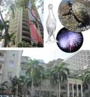 4つ星ホテル お気に入りランキング