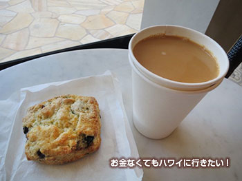 コナコーヒー・パーベイヤーズ