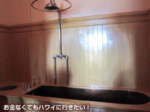 イオラニ宮殿のバスルーム