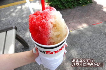 アイランドスノーハワイのシェイブアイス(上から)