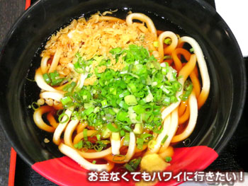 伊予製麺(IYO UDON)のかけうどん