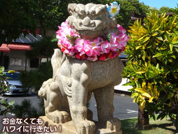 ハワイ出雲大社のトロピカルな狛犬２