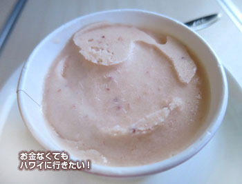 JAL ビジネスクラス 搭乗記 アイスクリーム