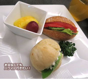 JAL 糖尿病ミール