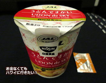 うどんですかい