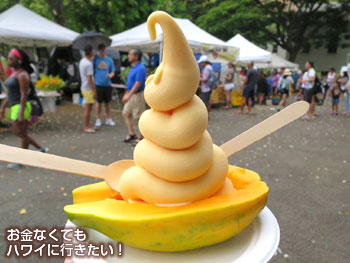 KCCファーマーズマーケットの尾辻ファームで食べたパパイヤフローズンヨーグルト