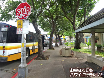 間もなく再びバス停が(ラニカイピルボックストレイルへ)