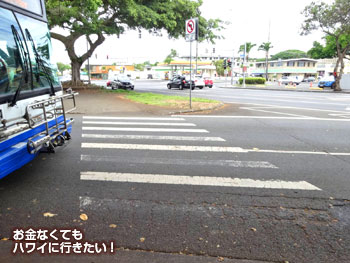 バス停前の横断歩道を横断(ラニカイピルボックストレイルへ)