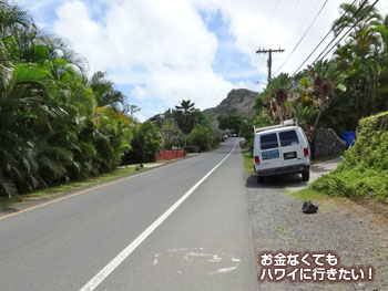 ラニカイエリアの自転車レーン(ラニカイピルボックストレイルへ)