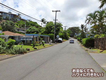 なだらかな上り坂が続きます(ラニカイピルボックストレイルへ)