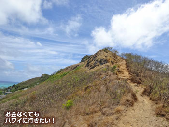 絶景を眺めながら更に上へ(ラニカイピルボックストレイルへ)