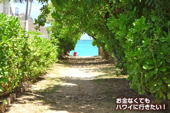 ラニカイビーチへと続く小路