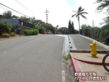 駐輪場から更に登ります(ラニカイピルボックストレイルへ)