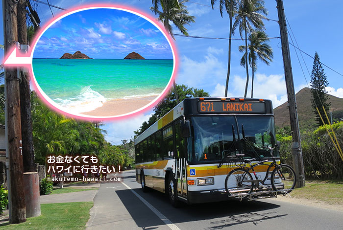 ラニカイビーチへバスで