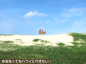 海を眺められるベンチ