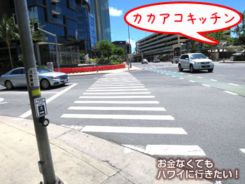横断歩道を渡ります(カカアコキッチンへ)