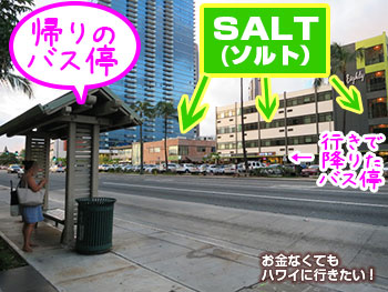カカアコ・ソルトからの帰り方(バス)