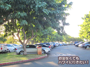 火曜日のKCCファーマーズマーケットの駐車場