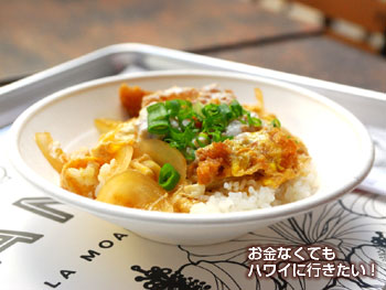 新フードコート「ラナイ」そばやのかつ丼(スモール)の器